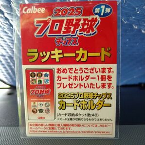 Calbee 2025プロ野球チップス 第1弾 ラッキーカード