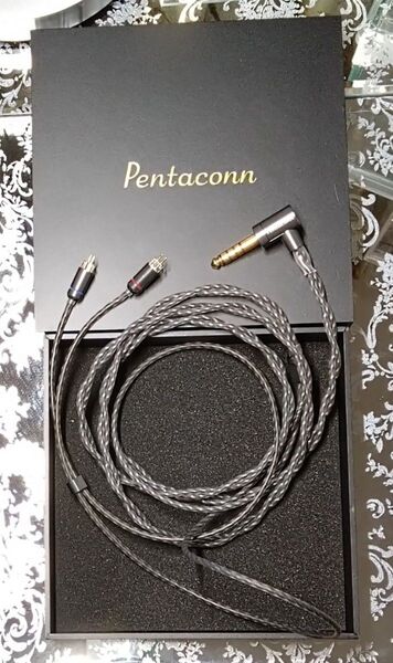 最終値引■美品 元額 44,300円 Spada 4.4mm 2PIN・未使Pentaconnクリップ・final Earhook