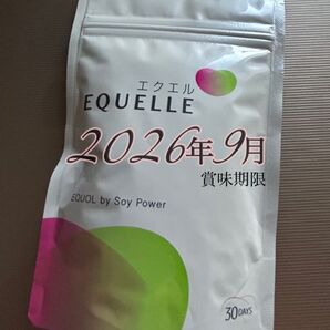 1袋 エクエル EQUELLE パウチ 大塚製薬 エクオール 大豆イソフラボン 120粒 120 30日 30DAYS 30