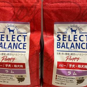 セレクトバランス パピー ラム 3kg×2