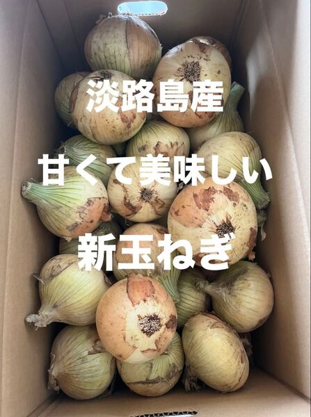 農家直送 新玉ねぎ 淡路島産5キロ