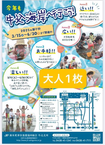 潮干狩り 千葉県木更津 金田牛込海岸大人入場券 無料券チケットあさり2kg付き