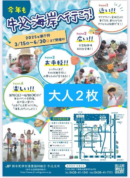 潮干狩り 千葉県木更津 金田牛込海岸大人入場券 無料券チケットあさり2kg付き