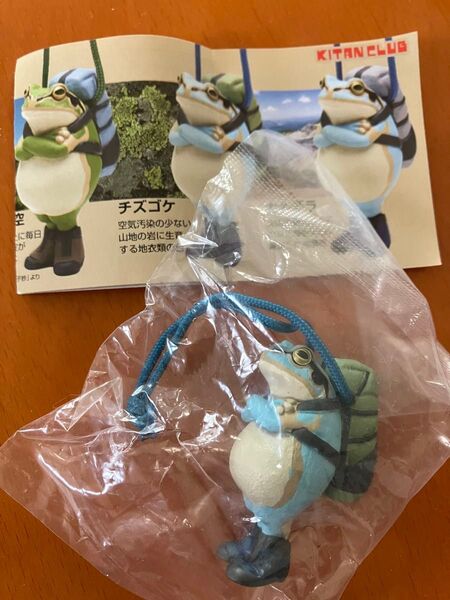 カエルの森工房 無事カエルストラップ アースカラー チズゴケ