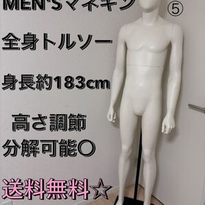 送料無料 パールイデア トルソー 全身 メンズ ディスプレイ 店舗什器 アパレル什器 マネキン