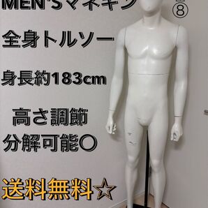 送料無料 パールイデア トルソー 全身 マネキン メンズ ディスプレイ 店舗什器 アパレル什器