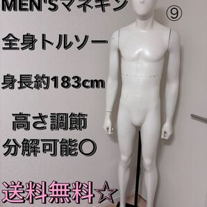 送料無料 パールイデア トルソー 全身 マネキン 店舗什器 ディスプレイ メンズ アパレル什器