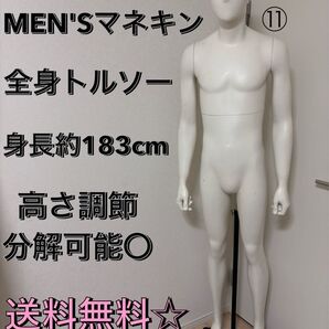 送料無料 パールイデア トルソー 全身 マネキン 店舗什器 ディスプレイ メンズ