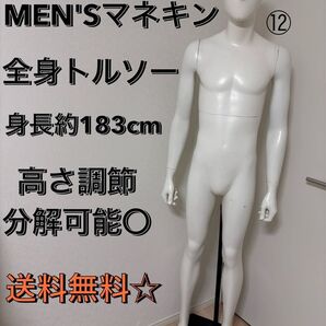 送料無料 パールイデア トルソー 全身 マネキン 店舗什器 ディスプレイ メンズ