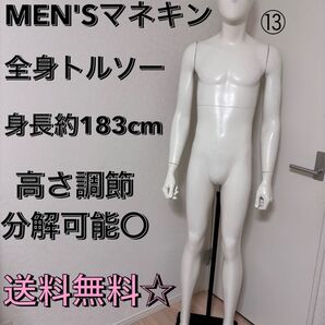 送料無料 パールイデア トルソー 全身 マネキン 店舗什器 ディスプレイ メンズ