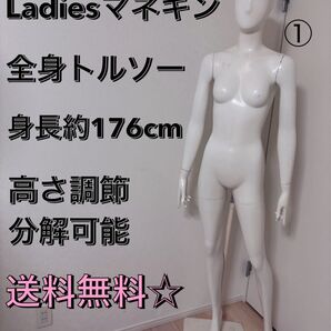 送料無料 パールイデア トルソー 全身 マネキン 店舗什器 ディスプレイ 女性 レディース