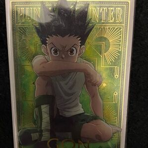 HUNTER×HUNTER ゴン カード