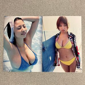 MEGUMI L判写真 12枚セット