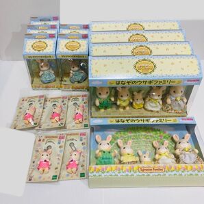 シルバニアファミリー はなぞのウサギファミリー はなぞのうさぎの女の子 福岡 限定 香椎花園 Sylvanian Families