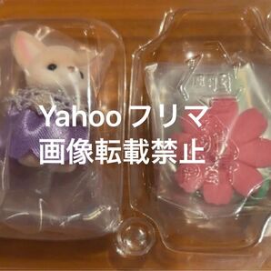 シルバニア 赤ちゃんコレクション フェネックの赤ちゃん