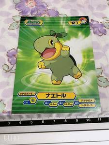 □ポケモン BIGカード ブロマイド ナエトル