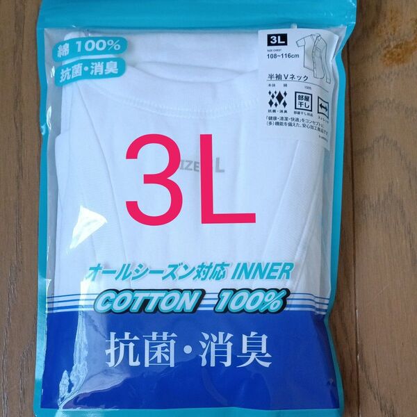 インナー アンダーシャツ 半袖 下着 肌着 紳士肌着 綿100 3L Vネック