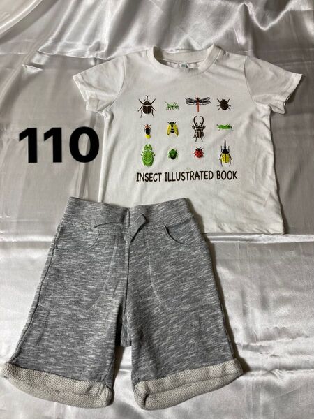 子供服 Tシャツ ハーフパンツ セット 110サイズ 昆虫 グレー ホワイト