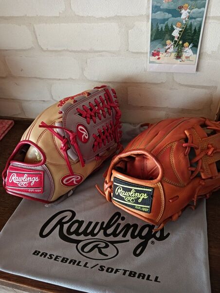 ローリングス Rawlings 親子 グローブ