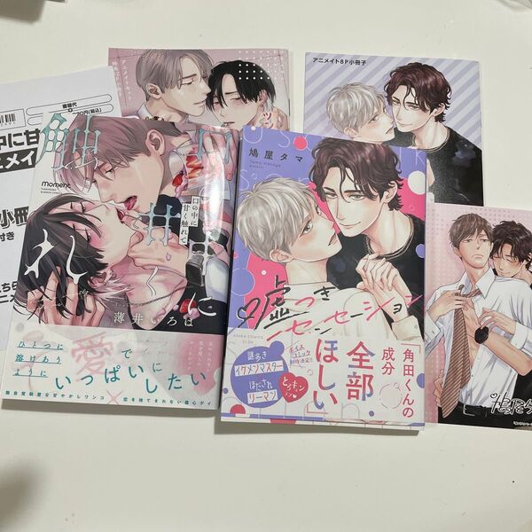口の中に甘く触れて 薄井いろは ※アニメイト限定セット 嘘つきセンセーション 鳩屋タマ アニメイト特典小冊子・イラストカード付