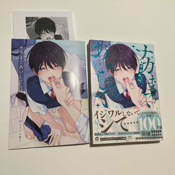 ナカまであいして 3 ※アニメイト限定セット 百瀬あん