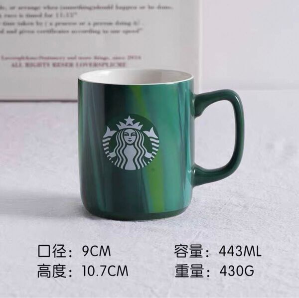 スターバックス マグカップ新品未使用一個 箱なし