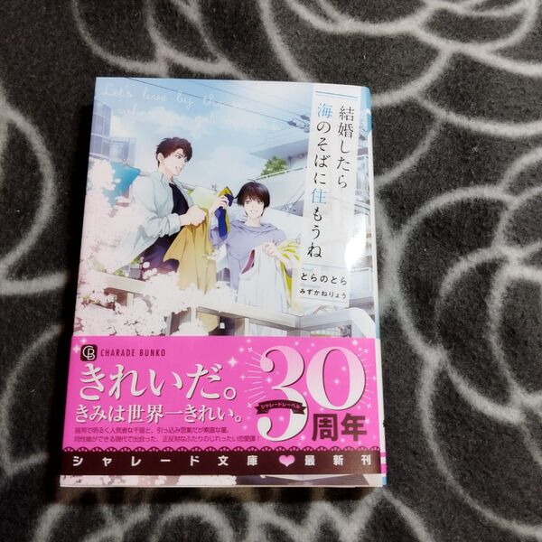 BL小説 結婚したら海のそばに住もうね