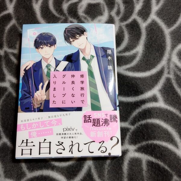 BL小説 修学旅行で仲良くないグループに入りました