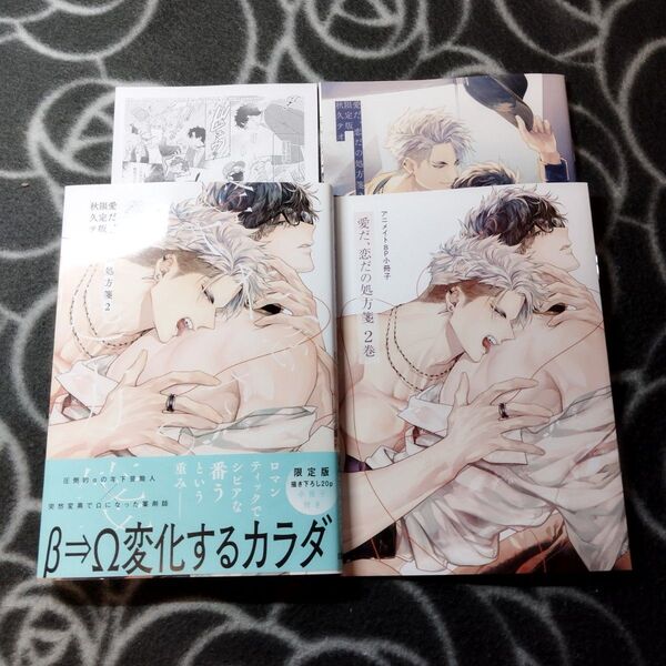 BLコミック2冊 愛だ、恋だの処方箋(2) 限定版 【アニメイト小冊子付き】杏介くんの初恋はまだ 【小冊子付き】
