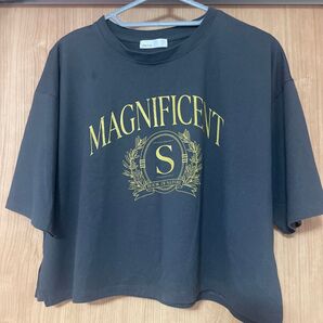 Helm 半袖Tシャツ グレー