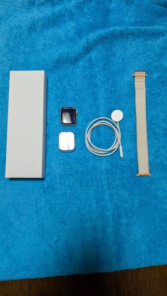 アップルウォッチシリーズ9