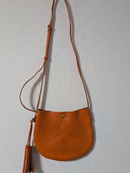 IL BISONTE イルビゾンテ ショルダーバッグ