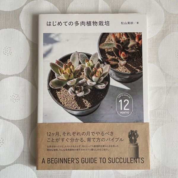 はじめての多肉植物栽培