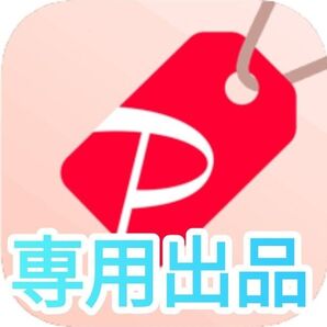 専用出品