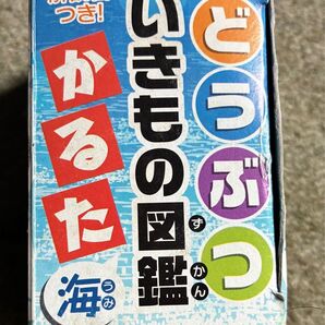日本パール加工 どうぶつ図鑑かるた 海バージョン134-NPAT-013