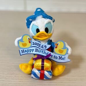 厳選 ディズニードナルド birthday ぬいぐるみバッジ