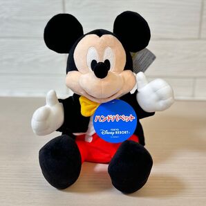 厳選 東京ディズニーリゾート ミッキー ハンドパペット ぬいぐるみ
