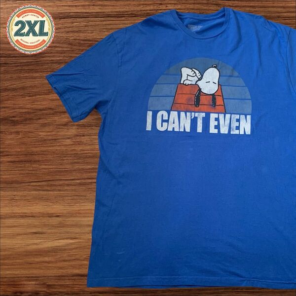 【US古着】ピーナッツ スヌーピー ブルー 2XL Tシャツ 半袖 プリント メンズ レディース