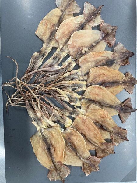 値引不可 10枚 300g〜350g 国内産干しスルメイカ 珍味 おつまみ 魚介 干物 ジャーキー あたりめ 焼酎 日本酒 ビール