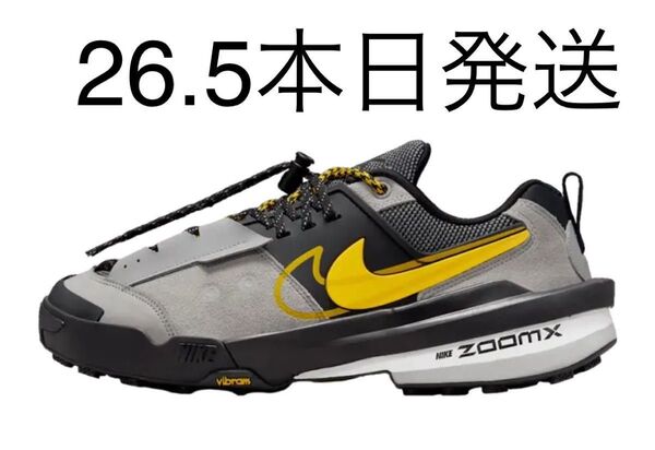 sacai × Nike Zegamadome "Matte Silver"