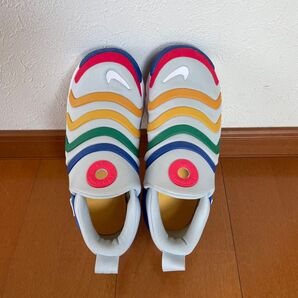NIKE ナイキ ダイナモ 22センチ マルチカラー