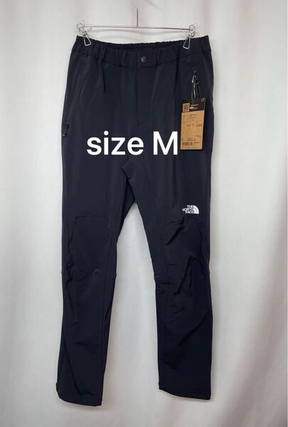 【未使用】THE NORTH FACE(ザノースフェイス)M ロングパンツ アルパインライトパンツ NBW32402 レディース