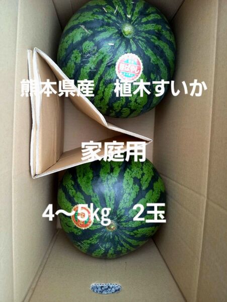 熊本県産 植木すいか 家庭用2玉 1玉4~5㎏程度