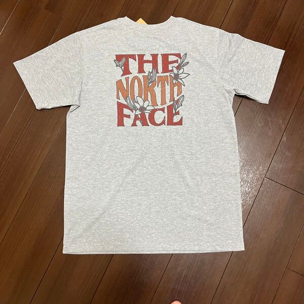 THE NORTH FACE ノースフェイス ショートスリーブ デイリリー ロゴ ティー M