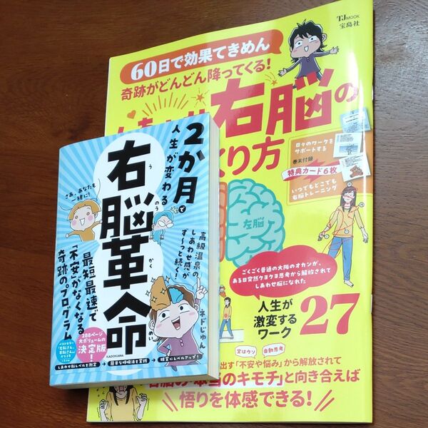 美品 2か月で人生が変わる右脳革命 60日で効果てきめんしあわせ右脳のつくり方 ネドじゅん/著 2冊セット
