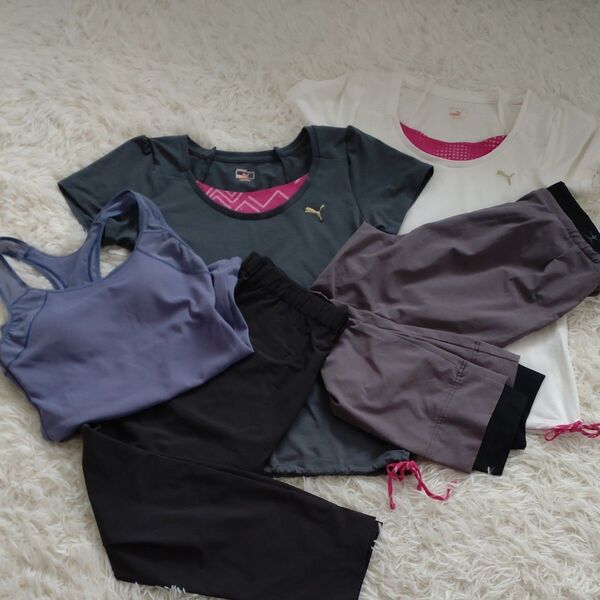 美品 puma Tシャツ 半袖 フィットネスウェア パンツ まとめ売り お買い得 danskin レディース Lサイズ
