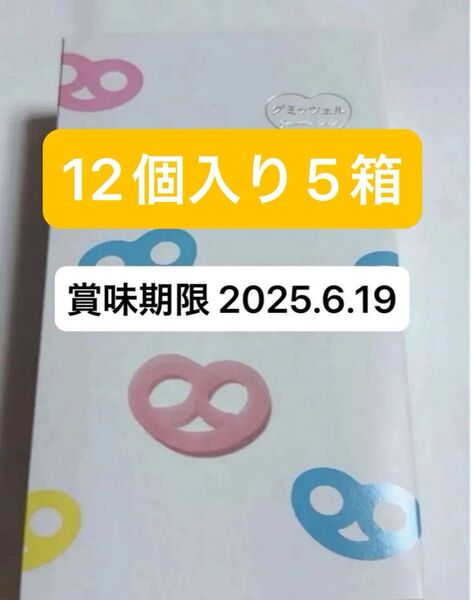 新品未開封 ヒトツブカンロ グミッツェル 12個×5箱