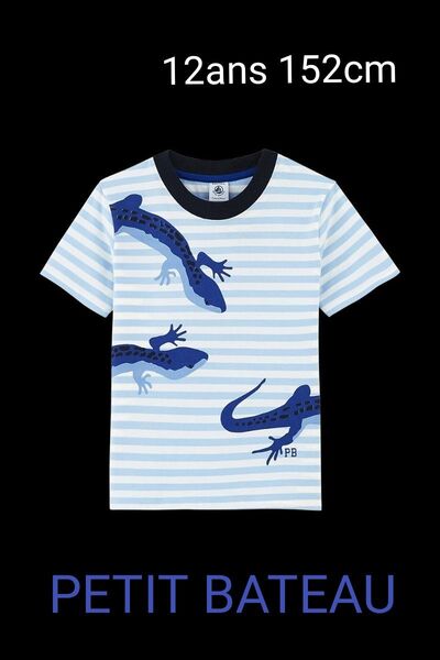 PETIT BATEAU プチバトー プリント半袖Tシャツ トカゲ ボーダー 新品 綿100% 12ans 152cm ボーイズ