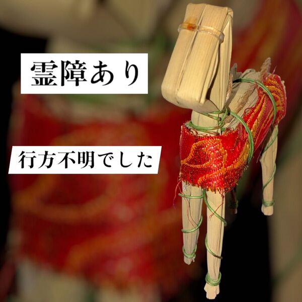 呪物 霊障あり【お盆の精霊馬・不思議な体験付き】 置物 飾馬 オカルト