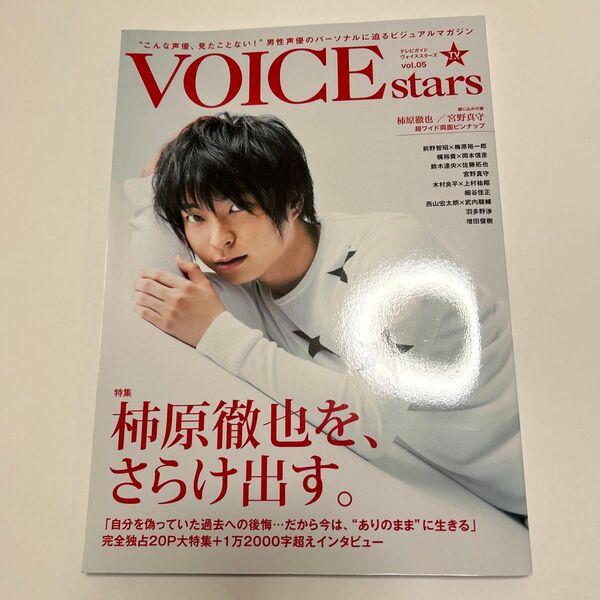 TVガイドVOICE stars vol.05